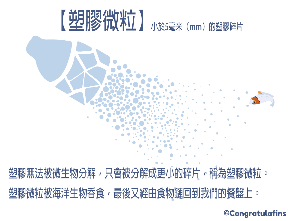 塑膠瓶分解成小碎片