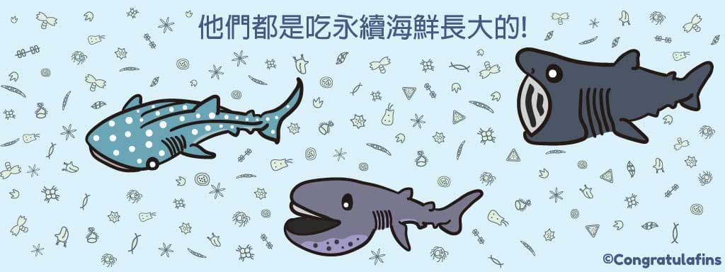 它們都是吃環保海鮮長大的