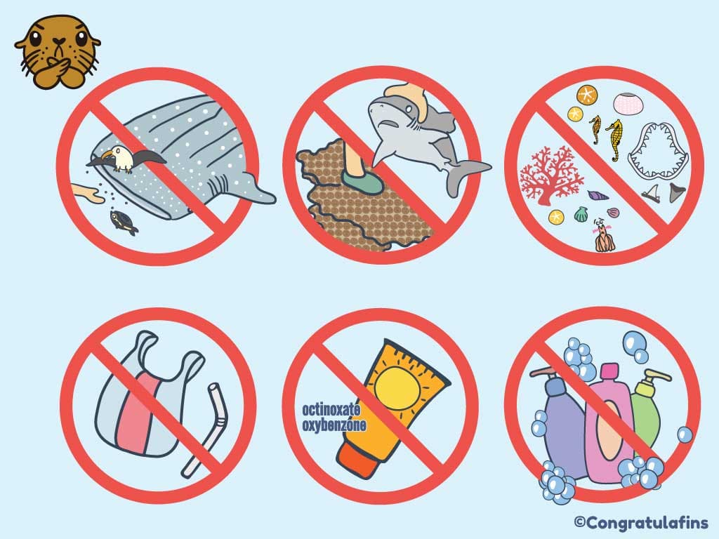 How to be beach friendly