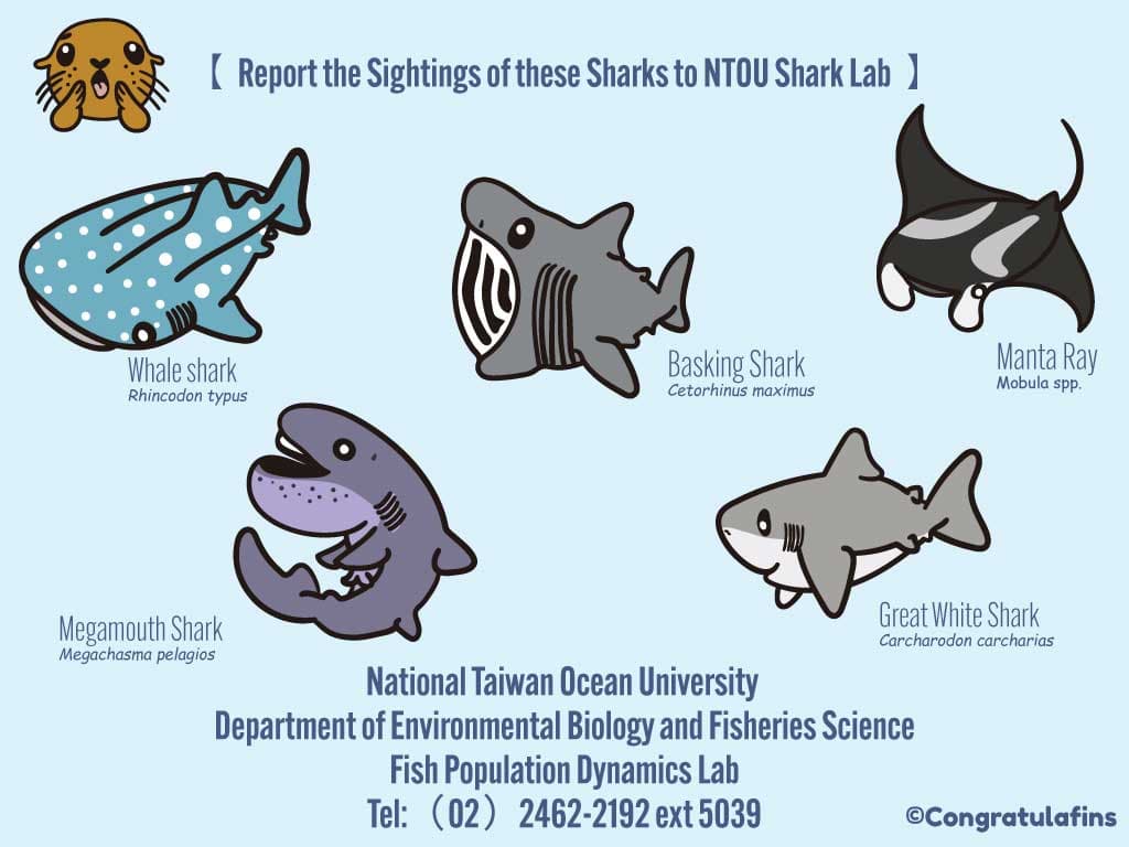 Sharks of Taiwan