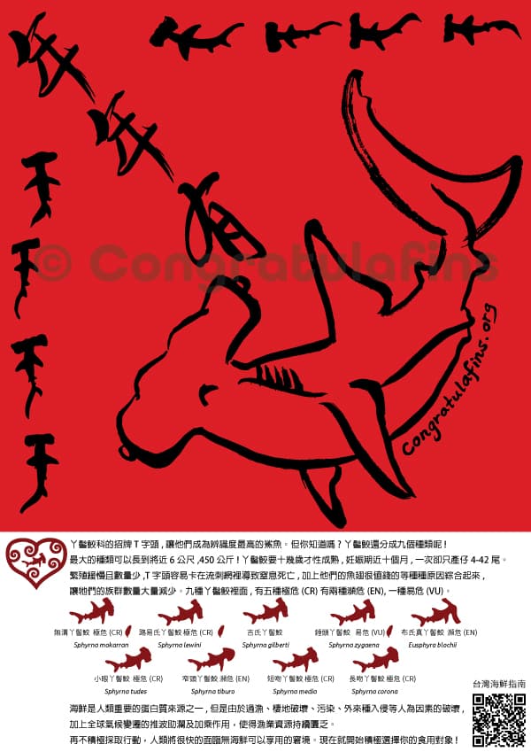 Hammerhead no shark fin soup
