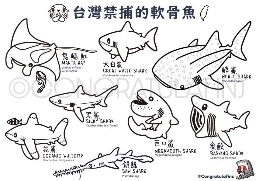 鯊魚著色畫