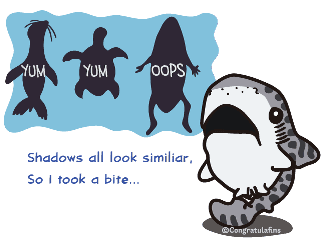 Silhouettes of animals compared with human on a surfboard with arms and legs dangling, they look similar from below