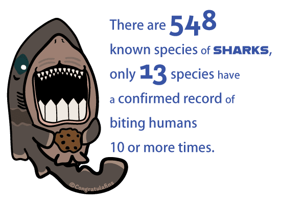 There are 548 species of shark, only 13 species have 10 or more recorded human bites