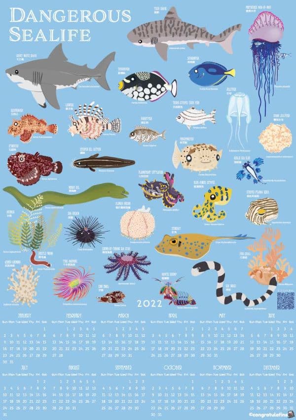 Dangerous Sealife 2022 Calendar