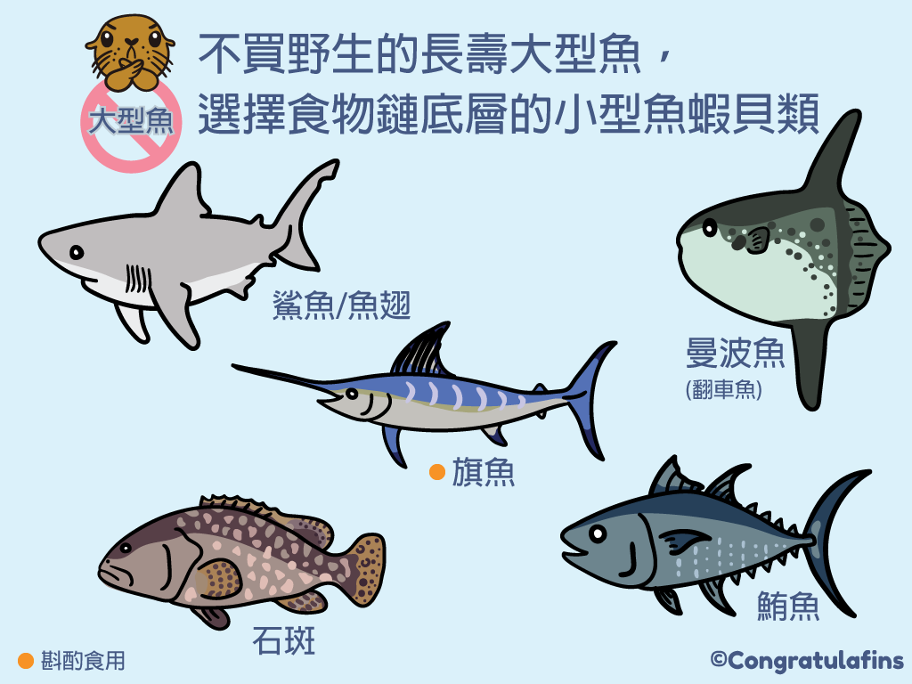 少買野生的長壽大型魚選擇食物鏈底層的小型魚蝦貝類