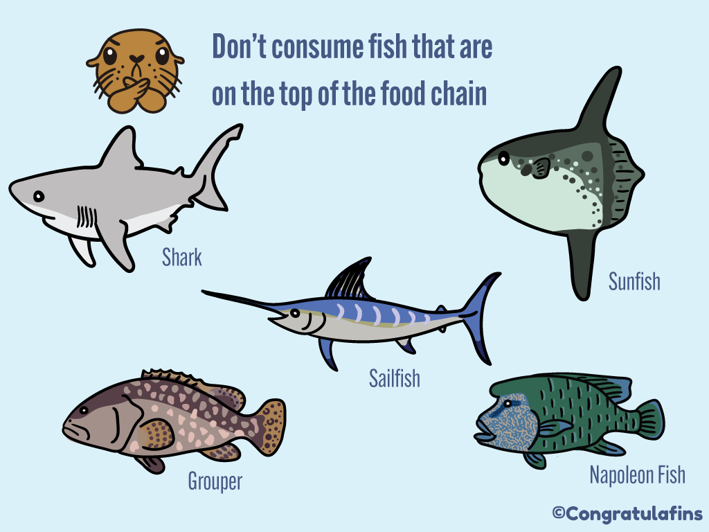 Don't consume fish that are at the top of the food chain