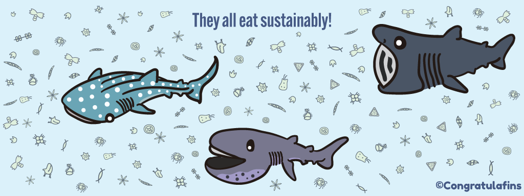 They all eat sustainably