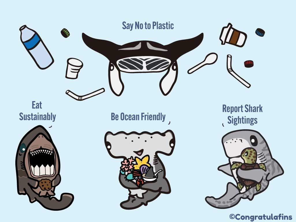 Summary of ways to help sharks