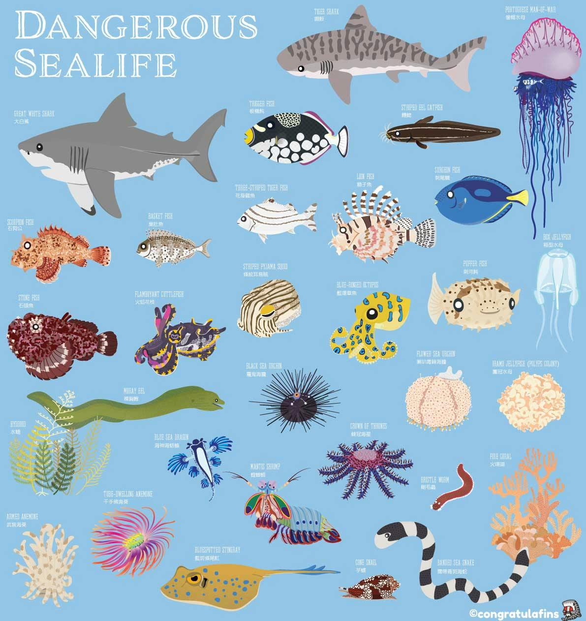 Dangerous Sealife