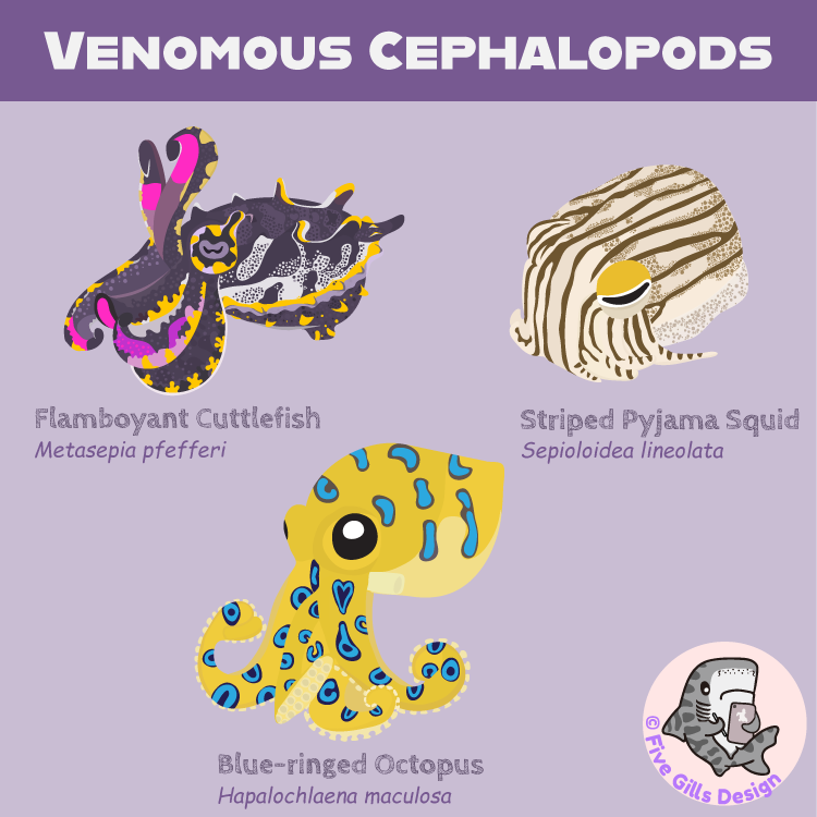 Venomous Cephalopods